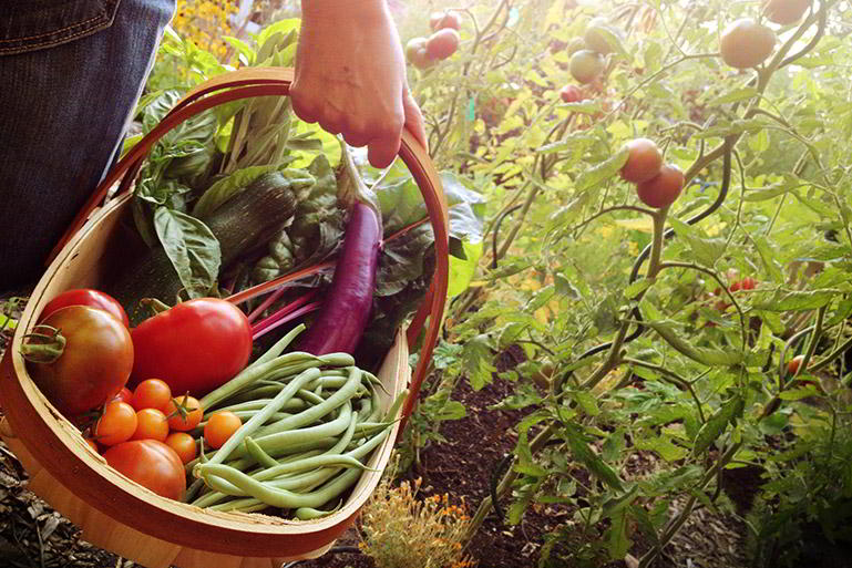 50 por ciento verduras y hortalizas