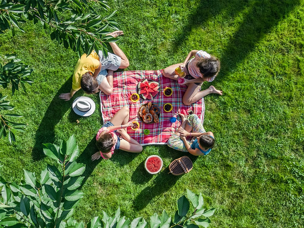 Familia en un picnic