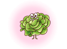 Dibujo de una lechuga